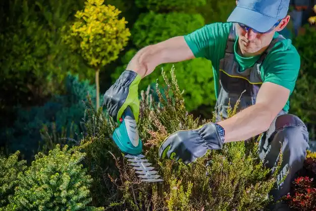 landscaping services Plainedge